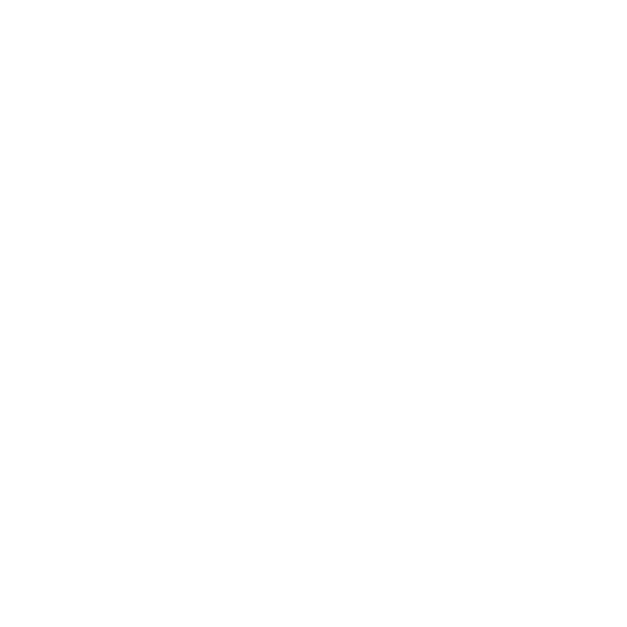 Eastern Congo Initiative logo
